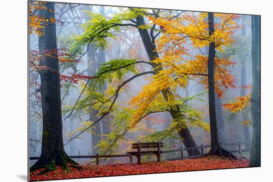 Take A Seat And Enjoy-Lars Van de Goor-Mounted Photographic Print