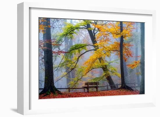 Take A Seat And Enjoy-Lars Van de Goor-Framed Photographic Print