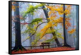 Take A Seat And Enjoy-Lars Van de Goor-Framed Stretched Canvas