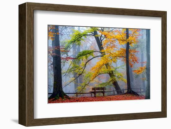 Take A Seat And Enjoy-Lars Van de Goor-Framed Photographic Print