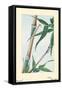 Take Bamboo-Megata Morikaga-Framed Stretched Canvas