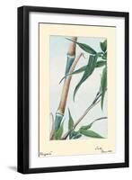 Take Bamboo-Megata Morikaga-Framed Art Print