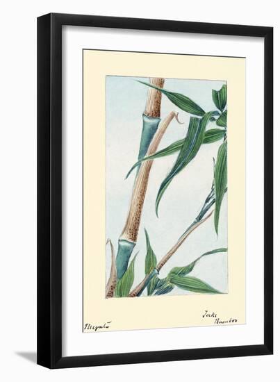 Take Bamboo-Megata Morikaga-Framed Art Print