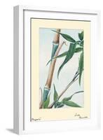 Take Bamboo-Megata Morikaga-Framed Art Print