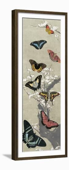 Take Flight II-Vision Studio-Framed Premium Giclee Print