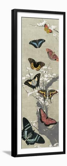 Take Flight II-Vision Studio-Framed Premium Giclee Print