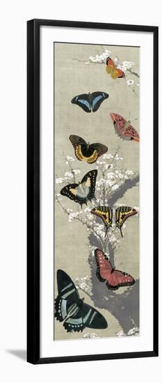 Take Flight II-Vision Studio-Framed Art Print