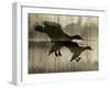 Take Flight-Tania Bello-Framed Giclee Print