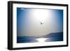 Take Flight-Erin Berzel-Framed Photographic Print