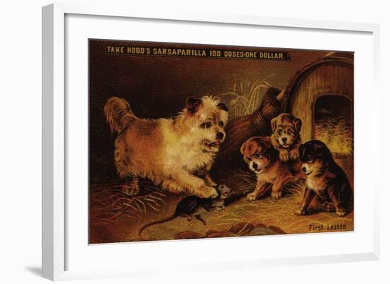 Take Hood's Sarsaparilla-null-Framed Art Print