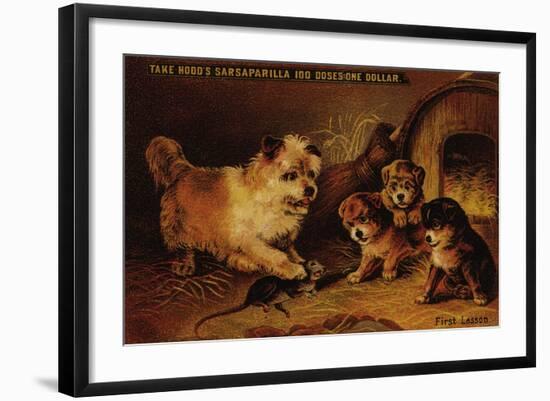 Take Hood's Sarsaparilla-null-Framed Art Print