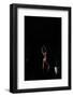 Take It In-Sebastian Black-Framed Photo