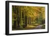 Take Me Home-Brenda Petrella Photography LLC-Framed Giclee Print