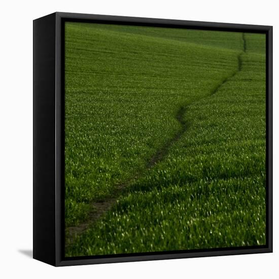 Take Me There-Doug Chinnery-Framed Stretched Canvas