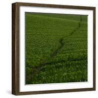 Take Me There-Doug Chinnery-Framed Photographic Print