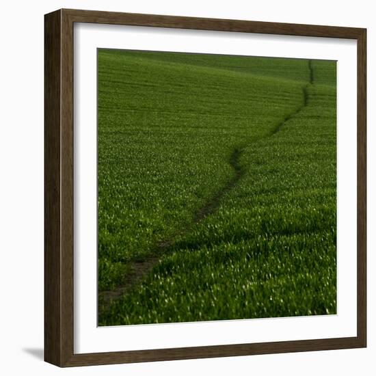 Take Me There-Doug Chinnery-Framed Photographic Print