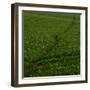 Take Me There-Doug Chinnery-Framed Photographic Print