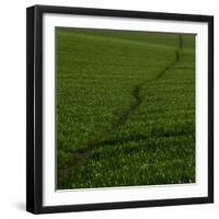 Take Me There-Doug Chinnery-Framed Photographic Print