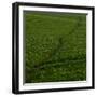 Take Me There-Doug Chinnery-Framed Photographic Print