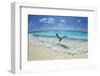 Take-Off-Roberto Marchegiani-Framed Photographic Print