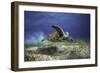 Take Off-Barathieu Gabriel-Framed Photographic Print