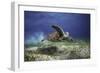 Take Off-Barathieu Gabriel-Framed Photographic Print