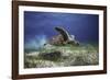 Take Off-Barathieu Gabriel-Framed Photographic Print