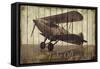 Take Off-Merri Pattinian-Framed Stretched Canvas