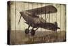 Take Off-Merri Pattinian-Stretched Canvas