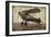 Take Off-Merri Pattinian-Framed Premium Giclee Print