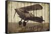 Take Off-Merri Pattinian-Framed Stretched Canvas