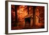Taken by Dreams-Philippe Sainte-Laudy-Framed Photographic Print