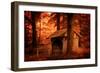 Taken by Dreams-Philippe Sainte-Laudy-Framed Photographic Print