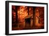 Taken by Dreams-Philippe Sainte-Laudy-Framed Photographic Print