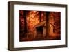 Taken by Dreams-Philippe Sainte-Laudy-Framed Premium Photographic Print