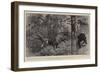 Taken by Surprise, Bear-Shooting at an Indian Hill Station-William Small-Framed Giclee Print
