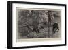 Taken by Surprise, Bear-Shooting at an Indian Hill Station-William Small-Framed Giclee Print