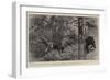 Taken by Surprise, Bear-Shooting at an Indian Hill Station-William Small-Framed Giclee Print