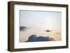 Takeoff at Sunset-YuricBel-Framed Photographic Print