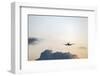 Takeoff at Sunset-YuricBel-Framed Photographic Print