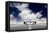 Takeoff Plane in Airport-Policas-Framed Stretched Canvas