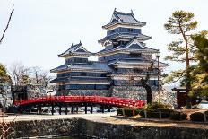 Temple of Golden Pavilion-takepicsforfun-Photographic Print