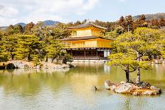 Temple of Golden Pavilion-takepicsforfun-Mounted Photographic Print