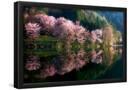 Essential Black
