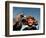 Takhuu Head Eagle Man, Altai Sum, Golden Eagle Festival, Mongolia-Amos Nachoum-Framed Photographic Print