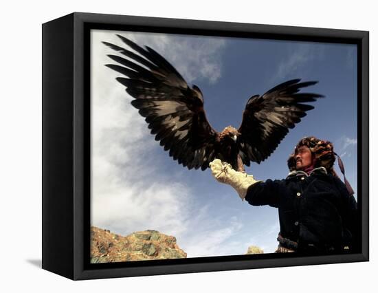 Takhuu Raising His Eagle, Golden Eagle Festival, Mongolia-Amos Nachoum-Framed Stretched Canvas