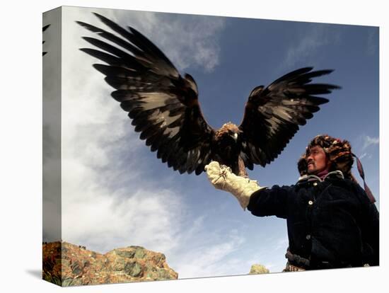 Takhuu Raising His Eagle, Golden Eagle Festival, Mongolia-Amos Nachoum-Stretched Canvas