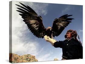 Takhuu Raising His Eagle, Golden Eagle Festival, Mongolia-Amos Nachoum-Stretched Canvas