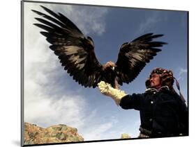 Takhuu Raising His Eagle, Golden Eagle Festival, Mongolia-Amos Nachoum-Mounted Photographic Print