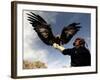 Takhuu Raising His Eagle, Golden Eagle Festival, Mongolia-Amos Nachoum-Framed Photographic Print